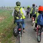 fietsen naar het Zwin