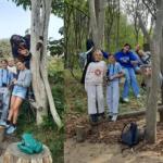 wandelen door het Zwin